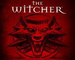 Immagine: The Witcher rise of the White Wolf