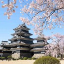 Immagine: Study Tour of Japan for European Youth 2010